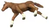 Schleich Poulain hanovrien Voir les images du produit 5