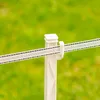 Gallagher Duopack Vario Pfahl 1,00m weiß (2x10) Produktbild-Vorschau 12