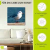 ARTland Leinwandbild Möwe Größe: 50x50 cm Produktbild-Vorschau 2