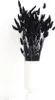 Lagurus Hasenschwanz Samtgras Trockenblumen 60-70cm DIY Produktbild-Vorschau 13