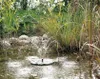Pontec PondoStar Lily Island 150 l/h, Solarwasserspiel Produktbild-Vorschau 9