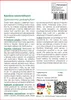 SAFLAX - rastlina nesmrteľnosti - Gynostemma pentaphyllum - Náhľad obrázku produktu 3