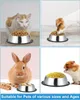 Katzenschüssel Set, 4-teilige, rutschfeste Katzenschüssel, Produktbild-Vorschau 6