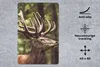 MuchoWow® Mauspad Mousepad Hirsch - Natur - Geweih - Wald - Produktbild-Vorschau 2