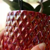 Kolibri Orchids | Rote Schmetterlings-Orchidee Congo + Produktbild-Vorschau 3