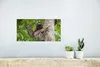 MuchoWow® Poster Ein Faultier klettert auf einen Baum in Produktbild-Vorschau 5
