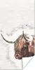 MuchoWow® Poster Scottish Highlander - Tiere - Produktbild-Vorschau 1