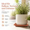 Jana podstawka pod doniczkę z terakoty 20 x 20 cm - Podgląd zdjęcia produktu 2