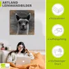 ARTland Leinwandbild Alpaka Blick Größe: 40x40 cm Produktbild-Vorschau 2