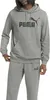 Puma Hoodie Essentials Kapuzensweatshirt Produktbild-Vorschau 15