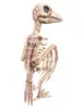 Skelett-Rabe Halloween-Deko 32 cm Produktbild-Vorschau 2