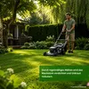 RSM-Rasensamen 2.3 mit Poa Supina 1kg für 40m², Produktbild-Vorschau 4