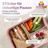 Pausenhero Brotdose Kinder mit Fächern [Obstgabeln + Produktbild-Vorschau 3