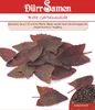 Artikelbild 1 von 'Rote Gartenmelde' aus der Kategorie Spinatsamen Produktbild-Vorschau