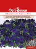 Dürr-Samen - Petunia Big Time Blue blu scuro annuale 100 cm Anteprima dell’immagine prodotto 1