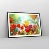 Gerahmtes Poster - Schwarzer Rahmen - Tulpe Blume Plantage Produktbild-Vorschau 8