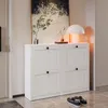 VOWNER schoenenkast met 4 deuren, smal, 105 x 24 x 80 cm, Productafbeelding-voorbeeld 4