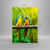 Bilder auf glas - Einteilig - Papageien Collorful Natur Produktbild-Vorschau 3