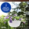 KONZEPT Blumenampel Hängend für Innen und Außen, Produktbild-Vorschau 3