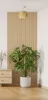 A Monstera plant in a pot sits on a wooden floor in front of a slatted wooden wall panel. A chest of drawers is visible to the left, and a pendant light hangs from the ceiling. Produktbild-Vorschau