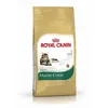 Royal Canin Feline Maine Coon - 10 kg Produktbild-Vorschau 12