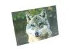 3 D Ansichtskarte Wolf, Waldtier Wolfskopf Postkarte Produktbild-Vorschau 3