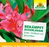 Bekämpft zuverlässig Schild- Wolläuse und Spinnmilben Produktbild-Vorschau