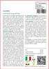 SAFLAX  - Lavanda - 150 semi - Lavandula Anteprima dell’immagine prodotto 3