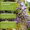 GROW2GO Bonsai Startpakket, inclusief GRATIS e-book - Productafbeelding-voorbeeld 3