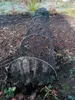 A black mesh tunnel with metal hoops, covering a garden bed. Náhľad obrázku produktu