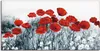 ARTland Leinwandbild Roter Mohn im Feld Größe: 100x50 cm Produktbild-Vorschau 1