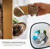 Semisfera in acrilico, mensola da parete, espositore Anteprima dell’immagine prodotto 7