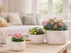 AltoBelli Blumentopf ADELINA Schale Zement Antik Grau Produktbild-Vorschau 2