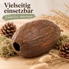Kakaoschote getrocknet 10-15 cm echte Kakaofrucht ohne Produktbild-Vorschau 3