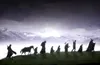 Silhouettes of figures and a horse walking across a grassy hill with mountains and a cloudy sky in the background. Podgląd zdjęcia produktu