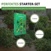 Kräutersamen Set - 10 Sorten Samen - Saatgut Sortiment - Produktbild-Vorschau 4