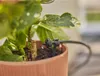 Gardena Micro-Drip-System Set Balkon (15 Pflanzen) Produktbild-Vorschau 26