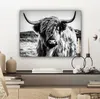 MuchoWow® - Leinwandbilder - Schottischer Highlander - Produktbild-Vorschau 7