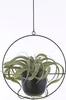 Závěsný květináč Mica Decorations Dexter - D34 x Š14 x V65 Náhled obrázku produktu 6