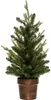 Tannenbaum im topf helsinki 70cm - Feeric Lights & Produktbild-Vorschau 3
