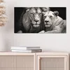 DEQOART Hybrid Leinwand Bild 60x30 cm 'Königliches Duo' Produktbild-Vorschau 4