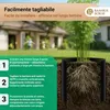 Bambusbörse barriera per radici e rizomi in HDPE, 35 m x 40 Anteprima dell’immagine prodotto 4