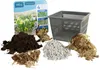 Bloomique - Lot de 3 Plantes de Bassin - Pontédérie - Voir les images du produit 2