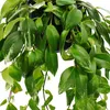 Pianta da rossetto - Aeschynanthus lobbianus "Variegatus" - Anteprima dell’immagine prodotto 2