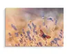 Fabelhafte Canvas LEINWAND BILDER 70x50 cm XXL Kunstdruck Produktbild-Vorschau 3