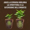 LERAVA® Argile expansée pour plantes  – 3 L – Granulés Voir les images du produit 6
