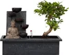 Bonsaibaume - Bonsai - Höhe 25-35cm - ⌀29cm Produktbild-Vorschau 1