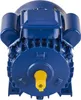 A blue electric motor is shown from the front. Anteprima dell’immagine prodotto
