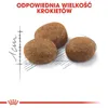 Royal Canin Sterilised 7+, Mačiatko, Kuracie mäso, 400 g Náhľad obrázku produktu 9