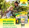 Neudorff Raupen-und AmeisenLeimring 3 m insektizidfrei, Produktbild-Vorschau 7